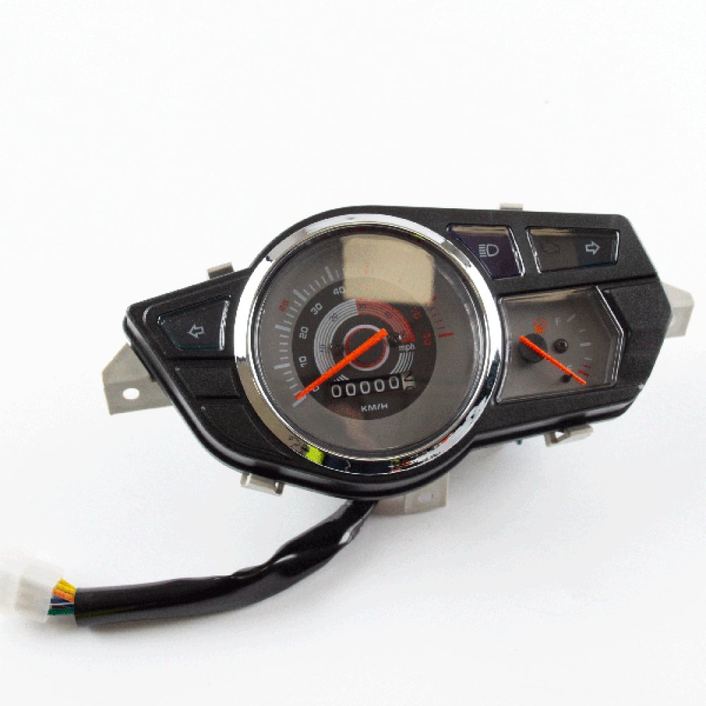 Speedo Assembly