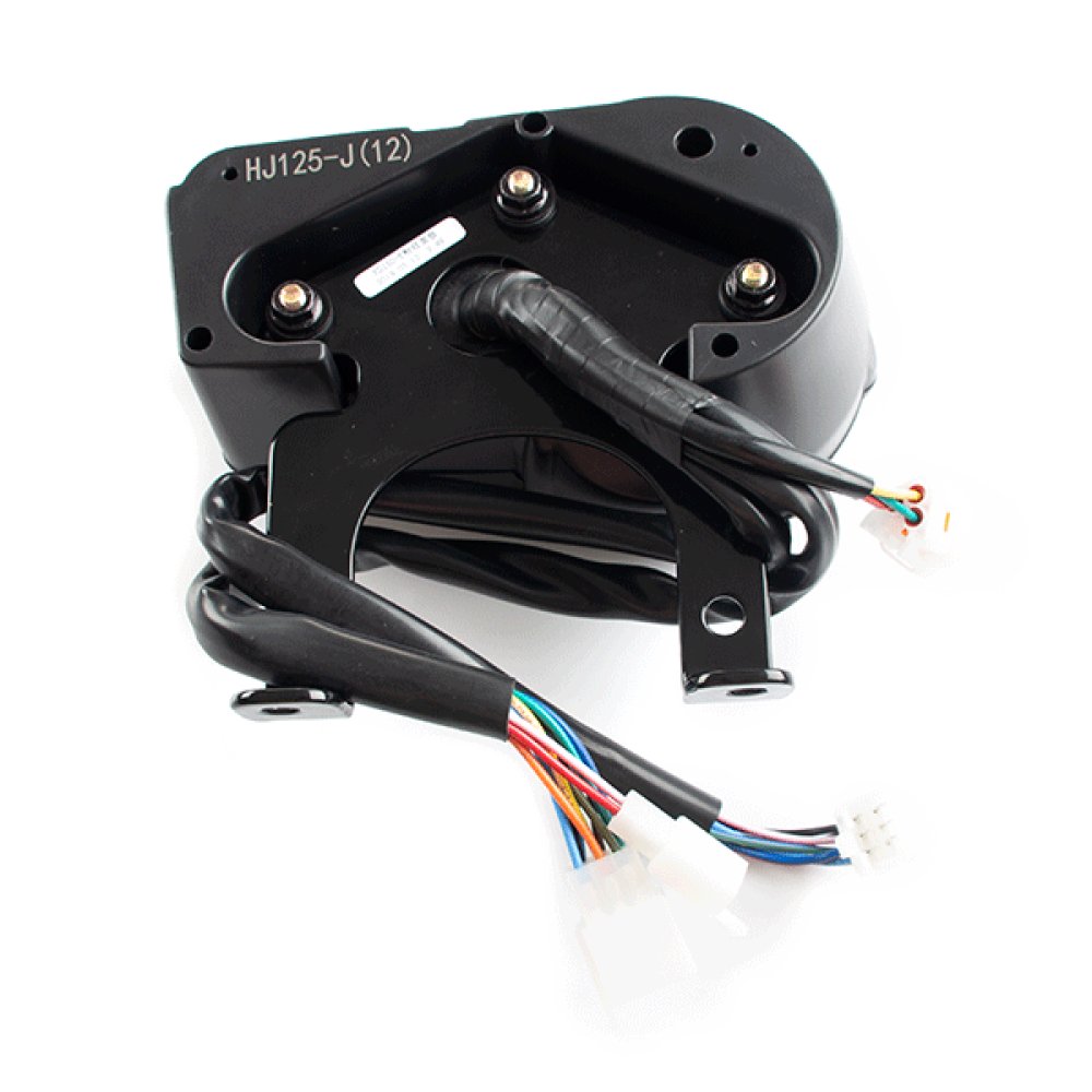 Speedo Assembly 2