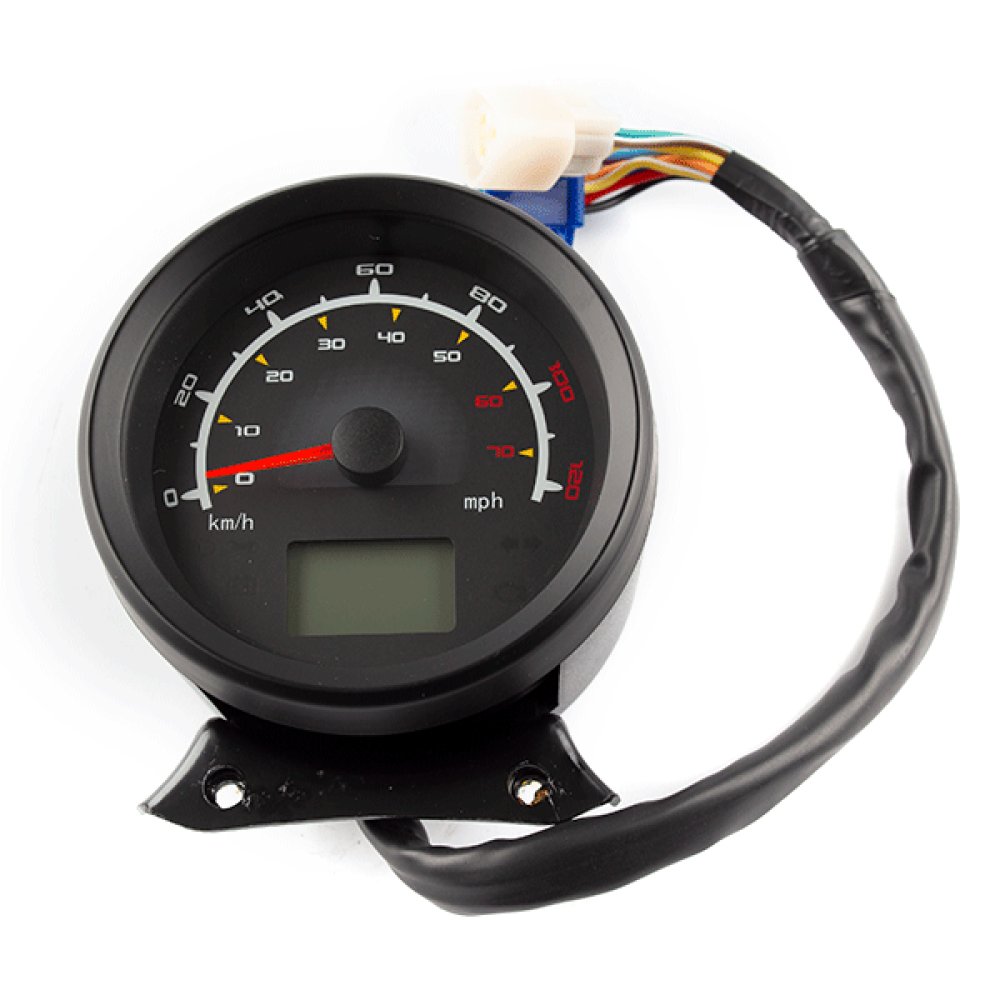 Speedo Assembly