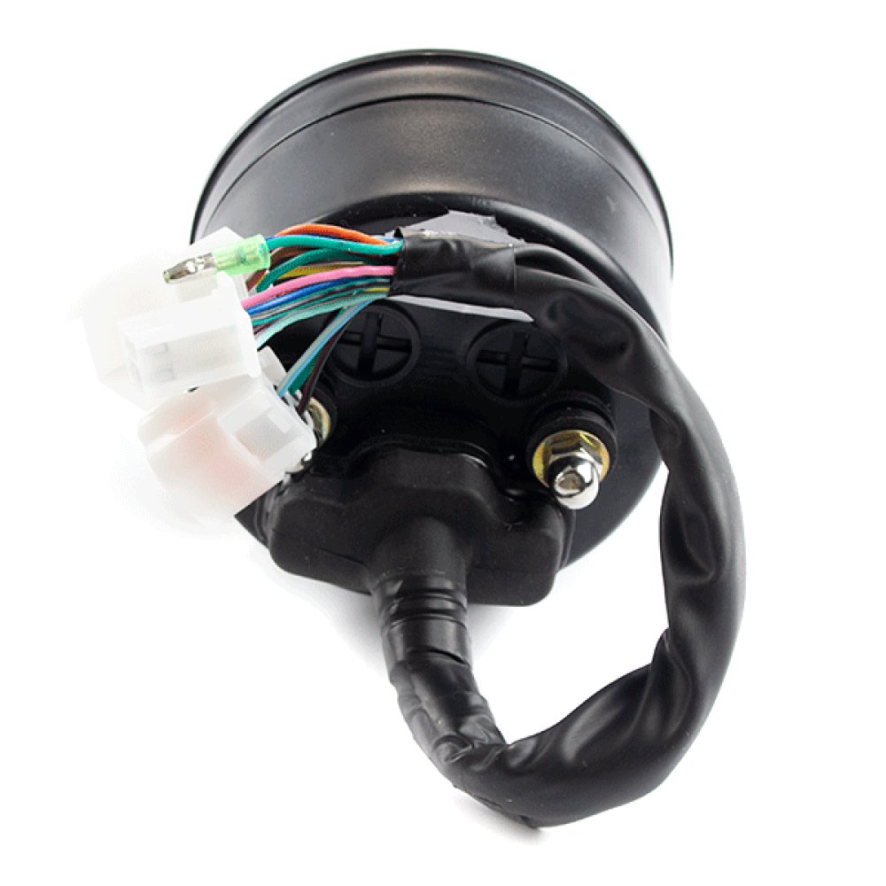Speedo Assembly 3