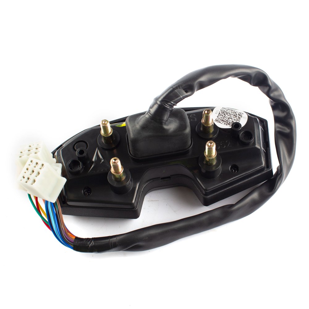 Speedo Assembly 2