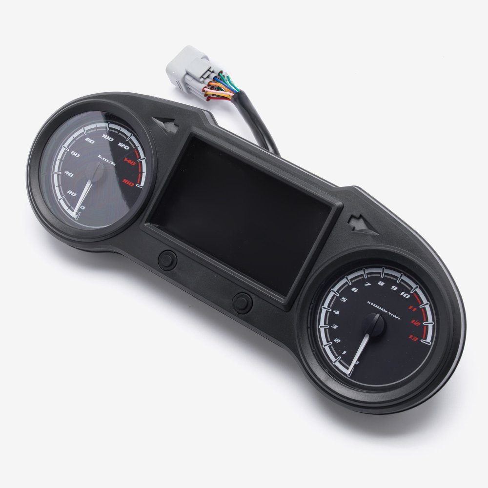 Speedo Assembly