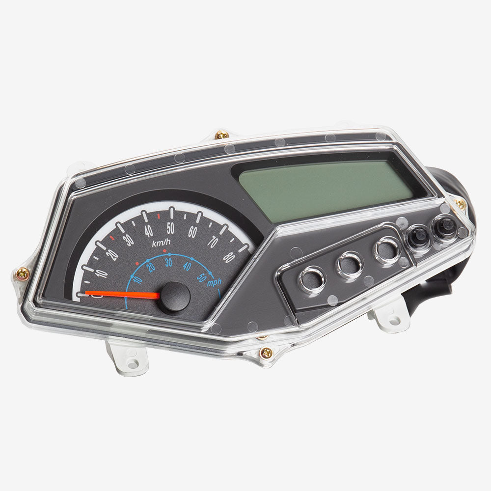 Speedo Assembly