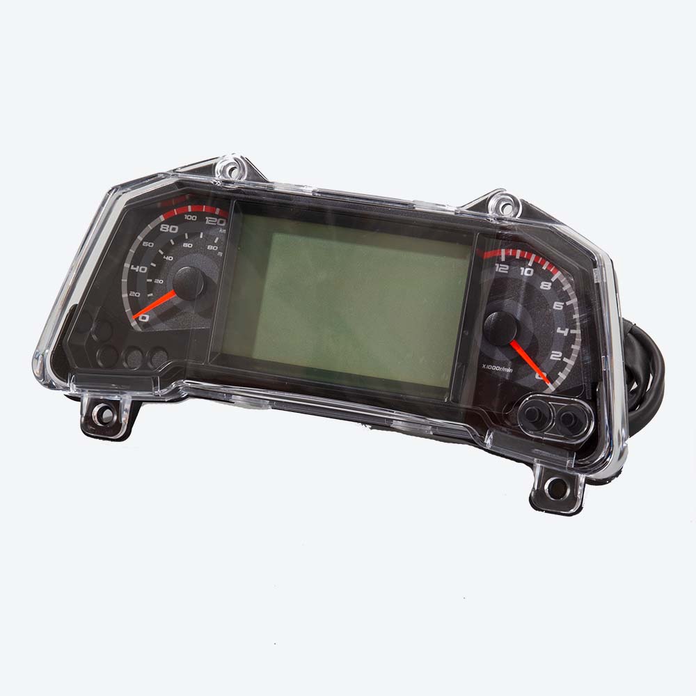 Speedo Assembly