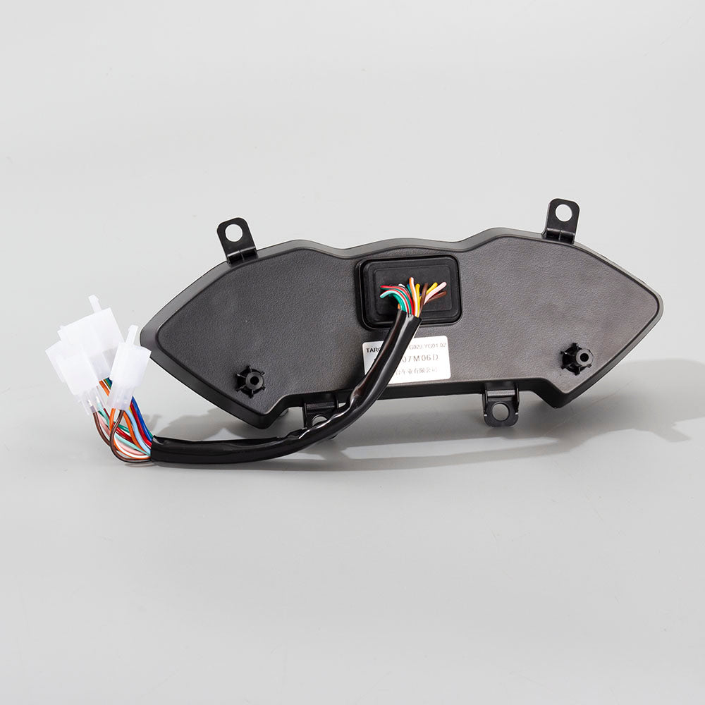 Speedo Assembly 2