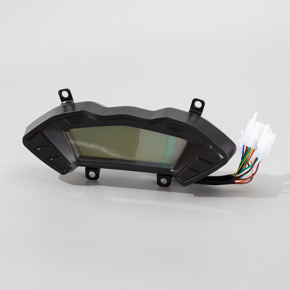 Speedo Assembly