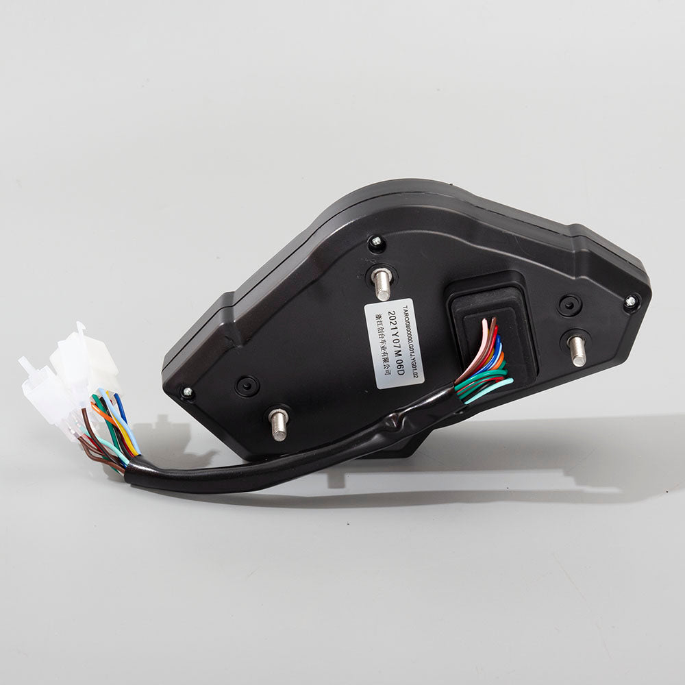 Speedo Assembly 2