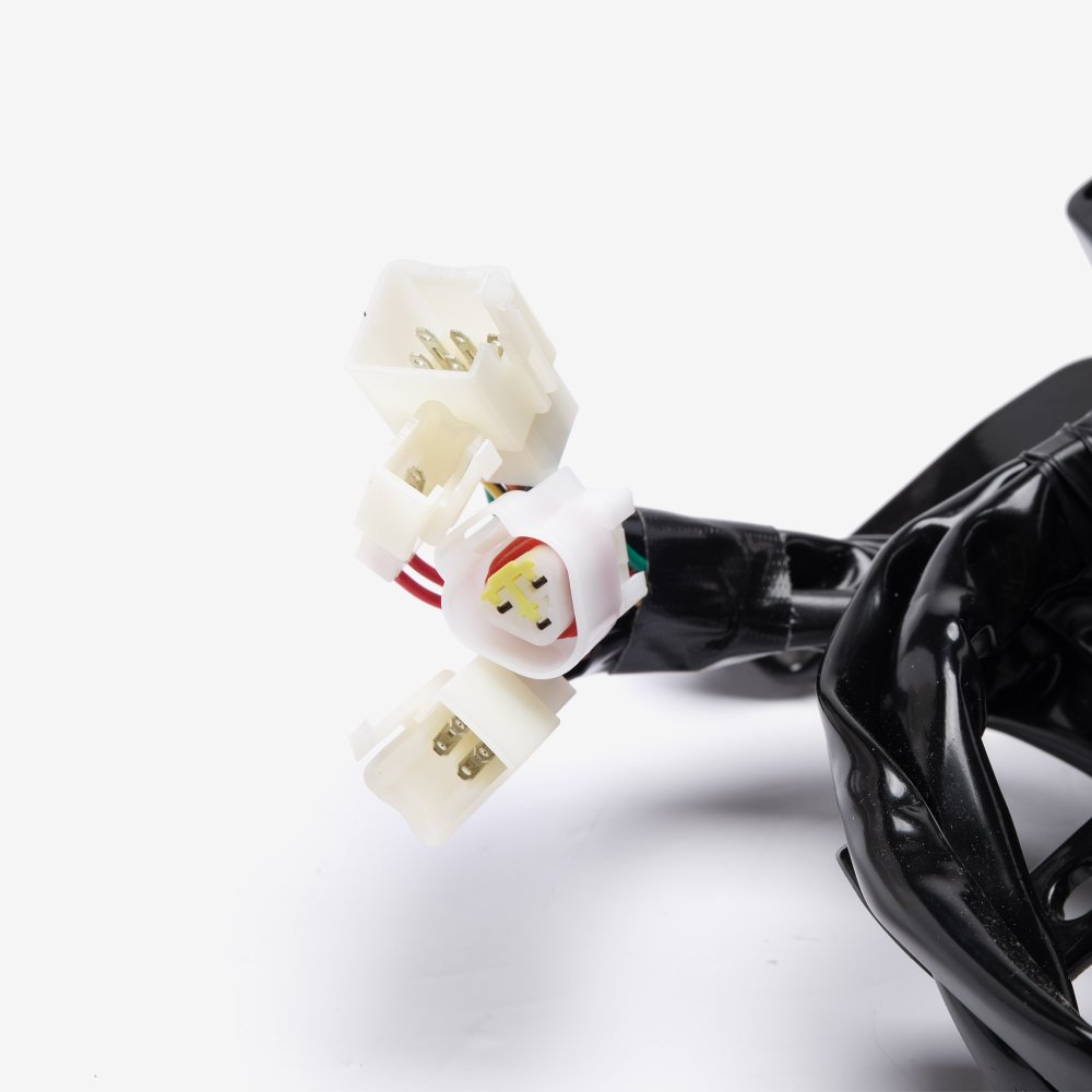Speedo Assembly 5