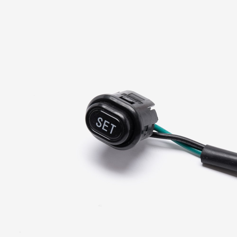 Dash Display Adjuster Switch 2