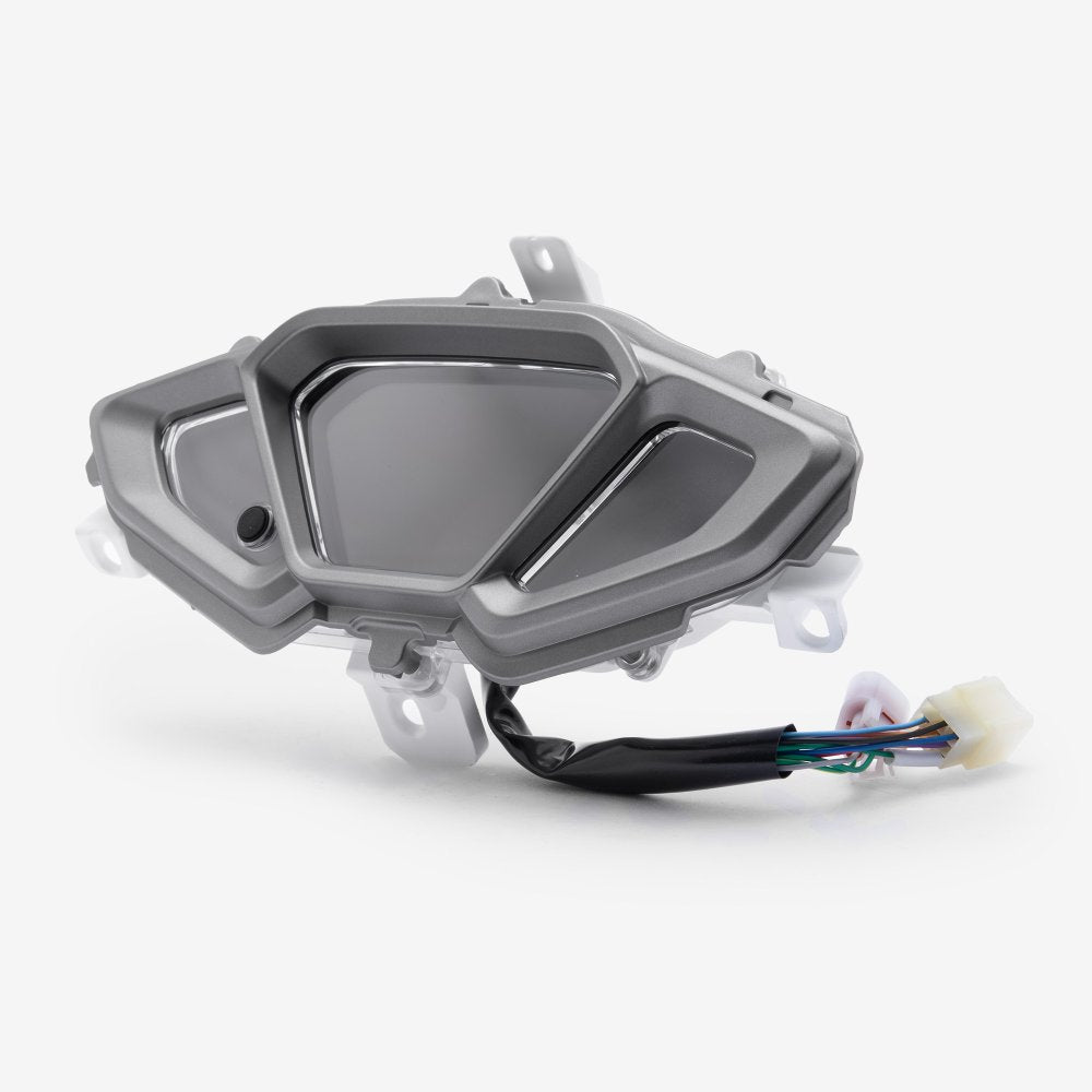 Speedo Assembly