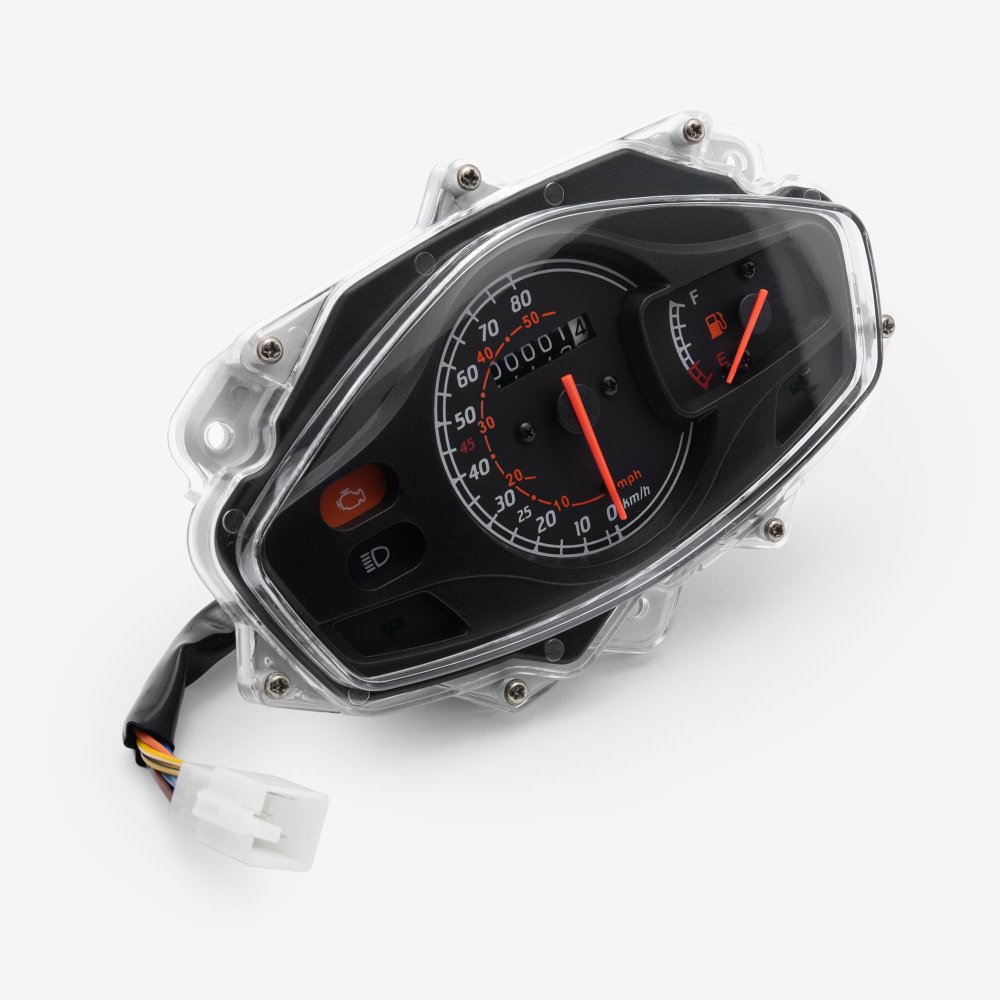 Speedo Assembly