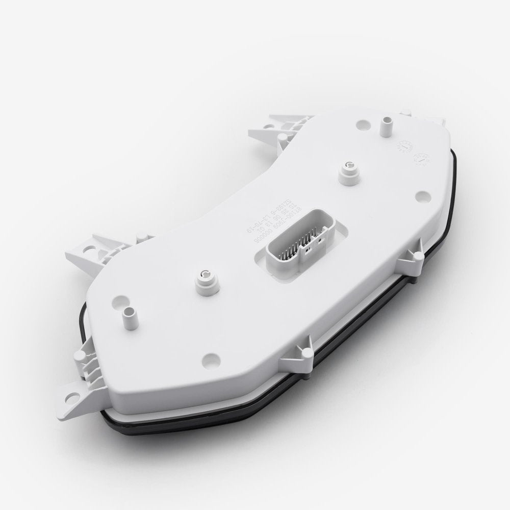 Speedo Assembly 2