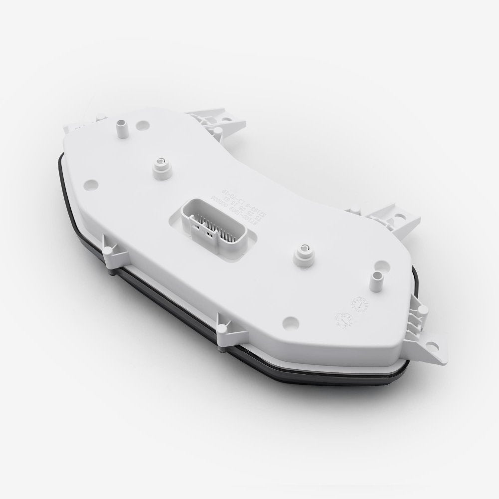 Speedo Assembly 4