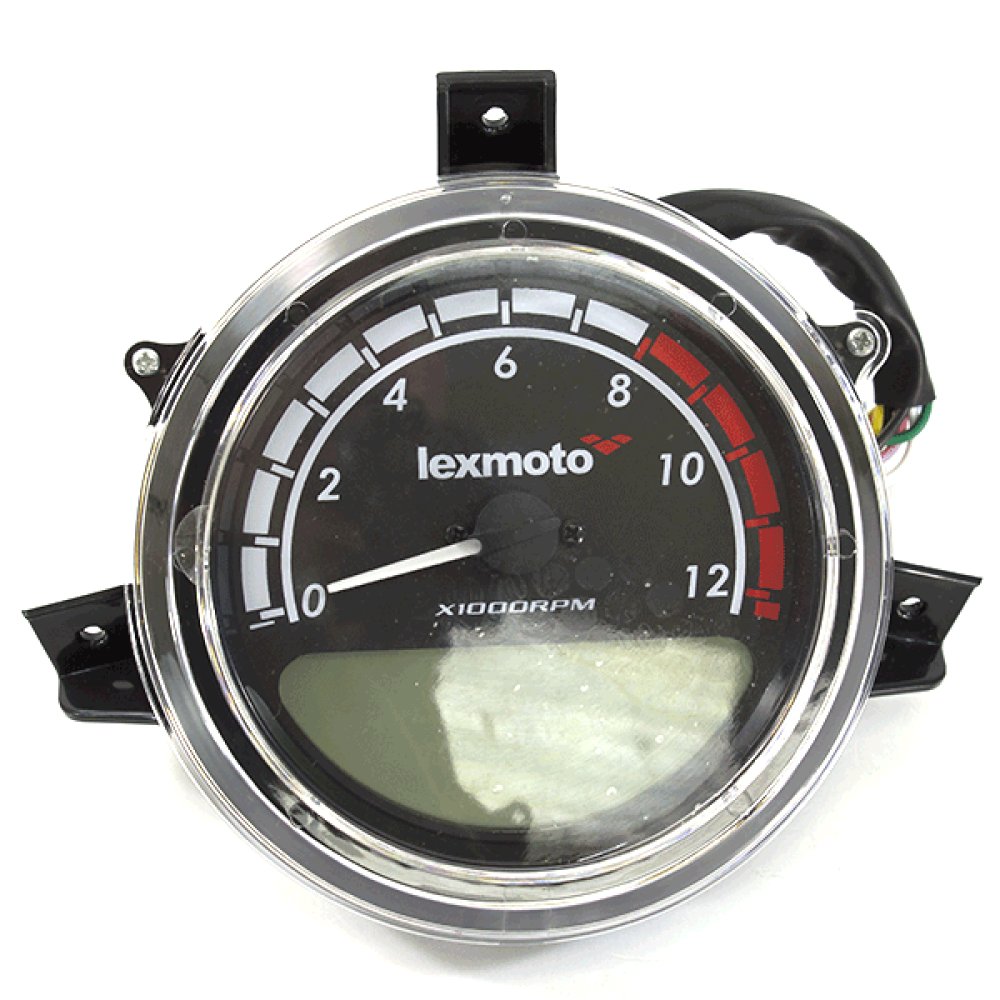 Speedo Assembly