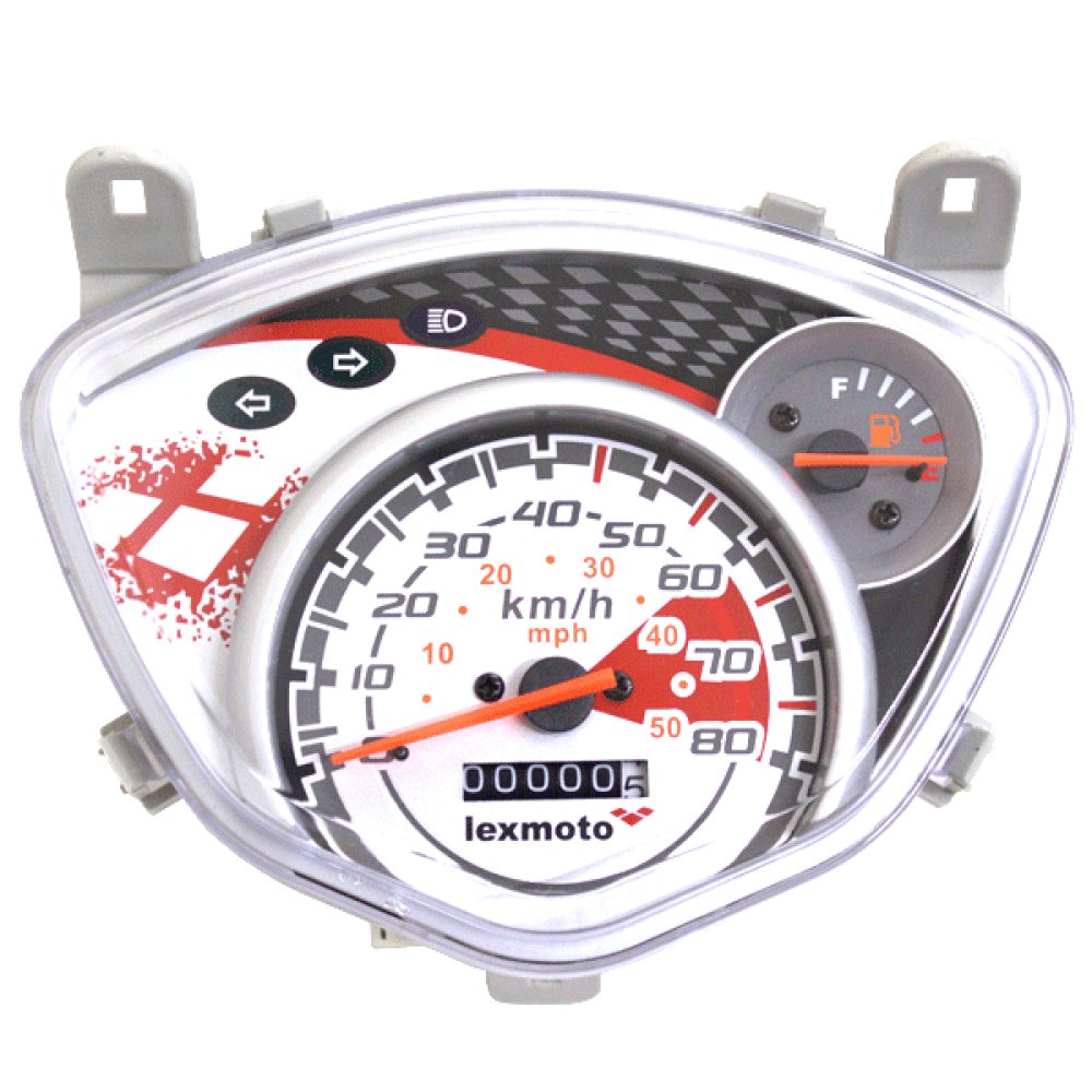 Speedo Assembly