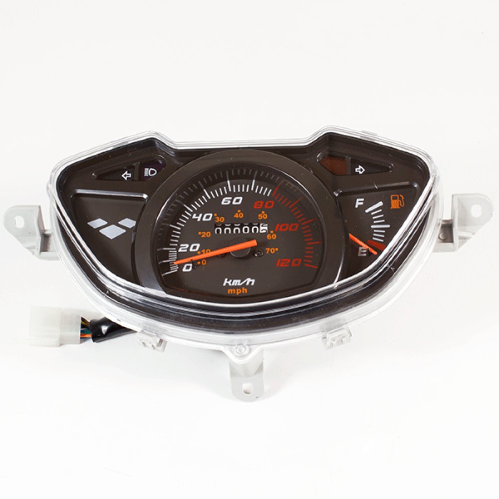 Speedo Assembly