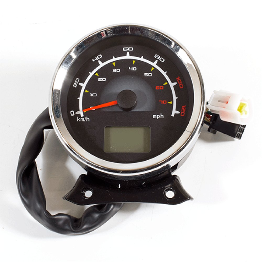 Speedo Assembly