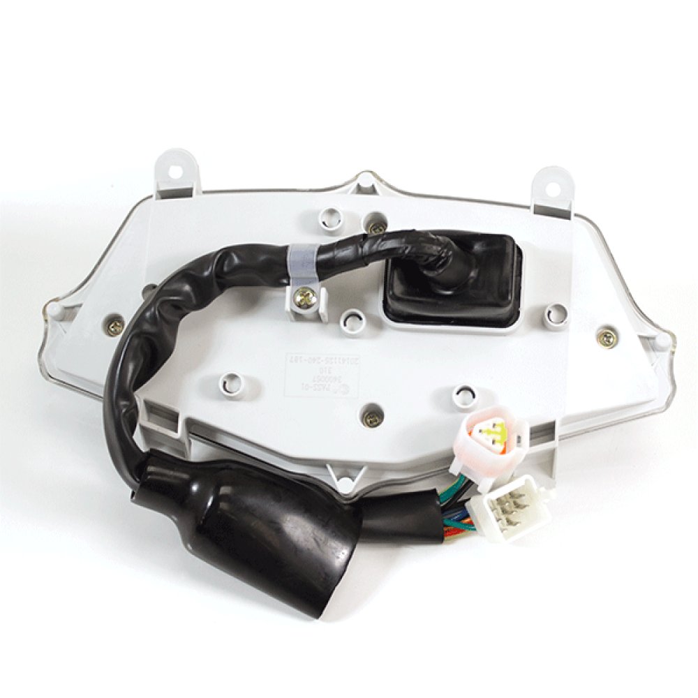 Speedo Assembly 2