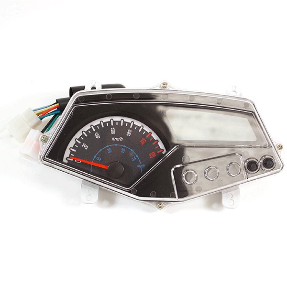 Speedo Assembly