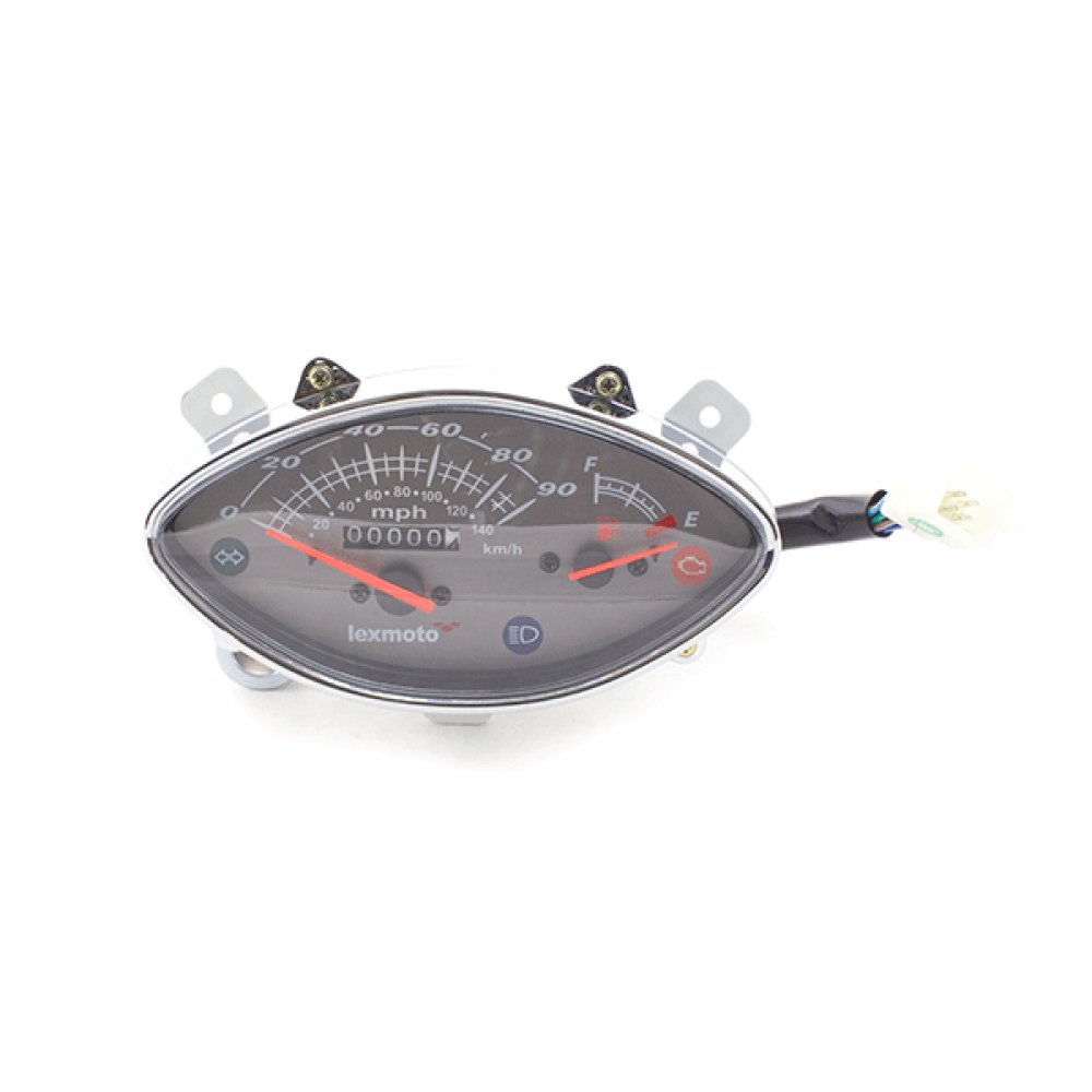 Speedo Assembly 2