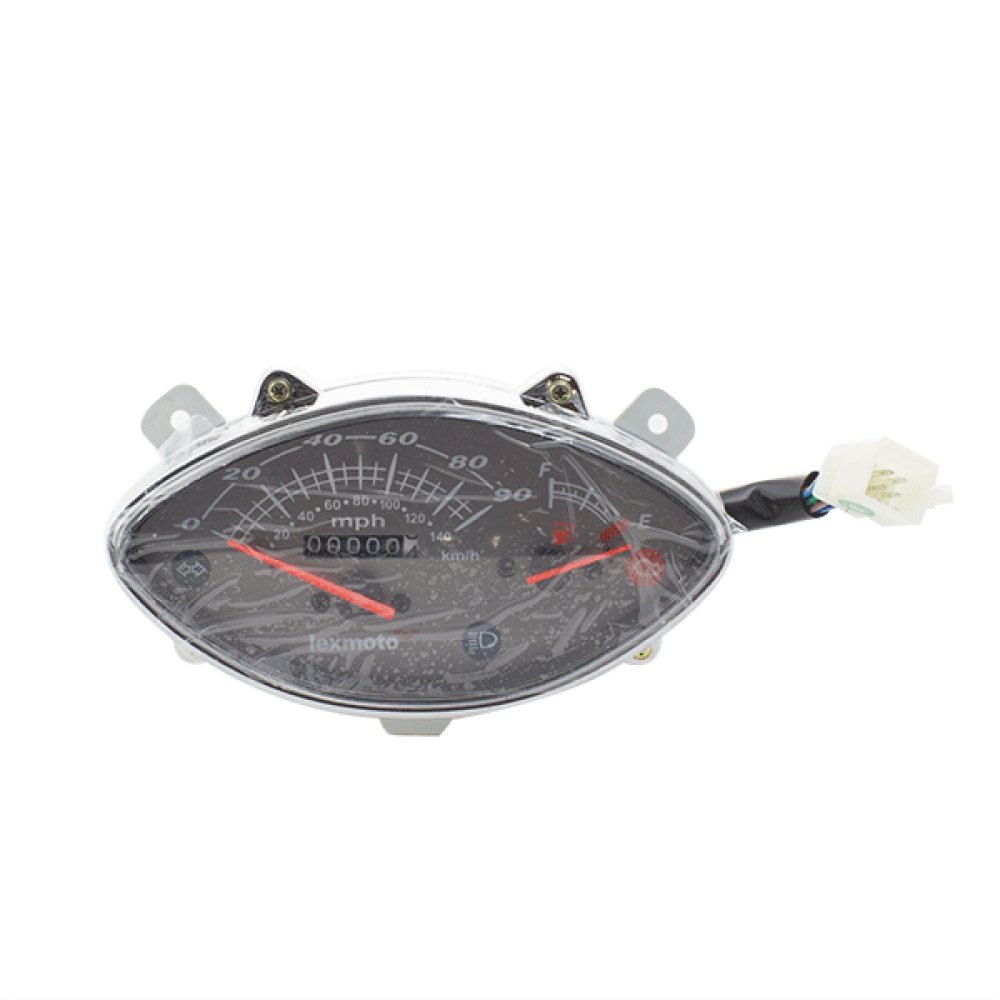 Speedo Assembly