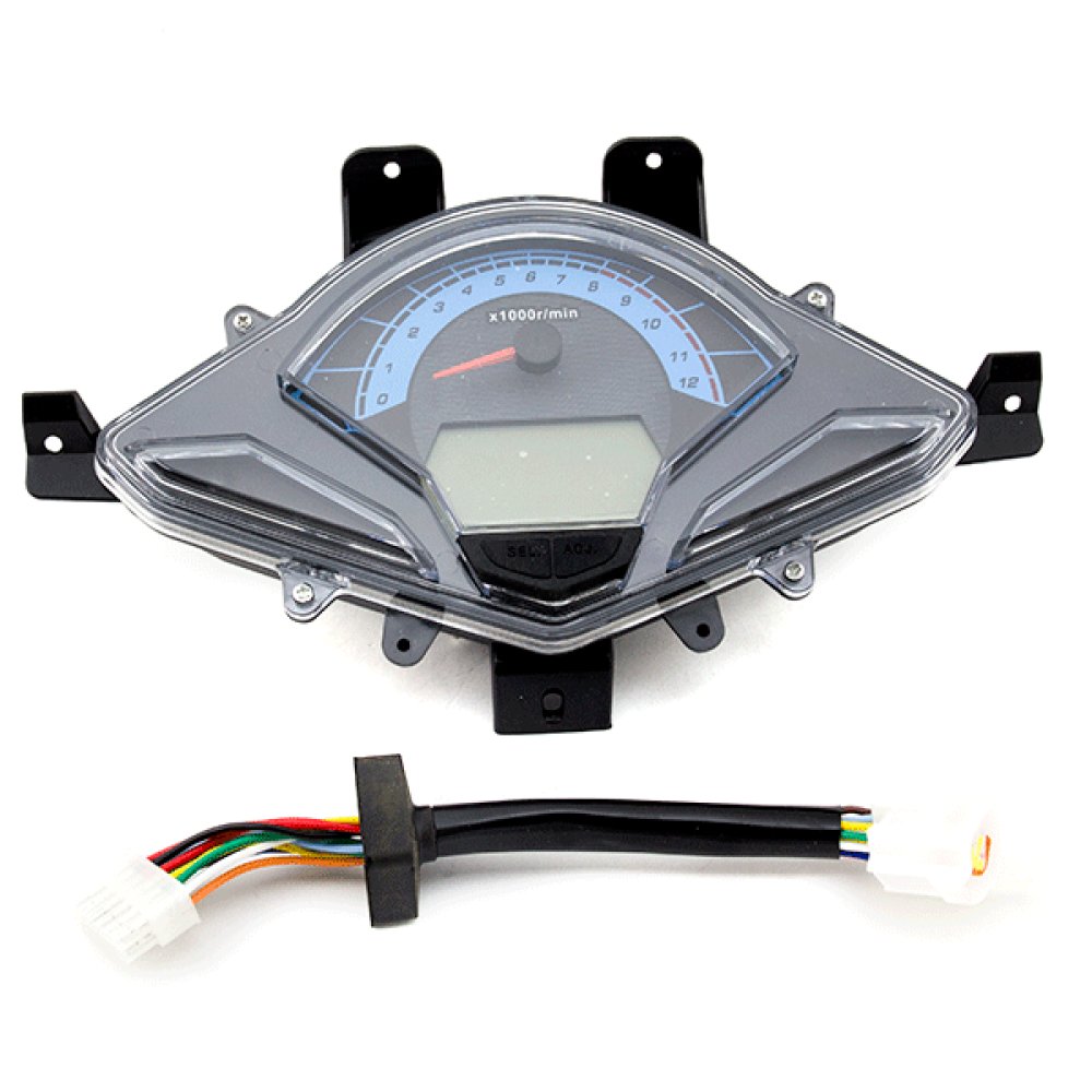 Speedo Assembly