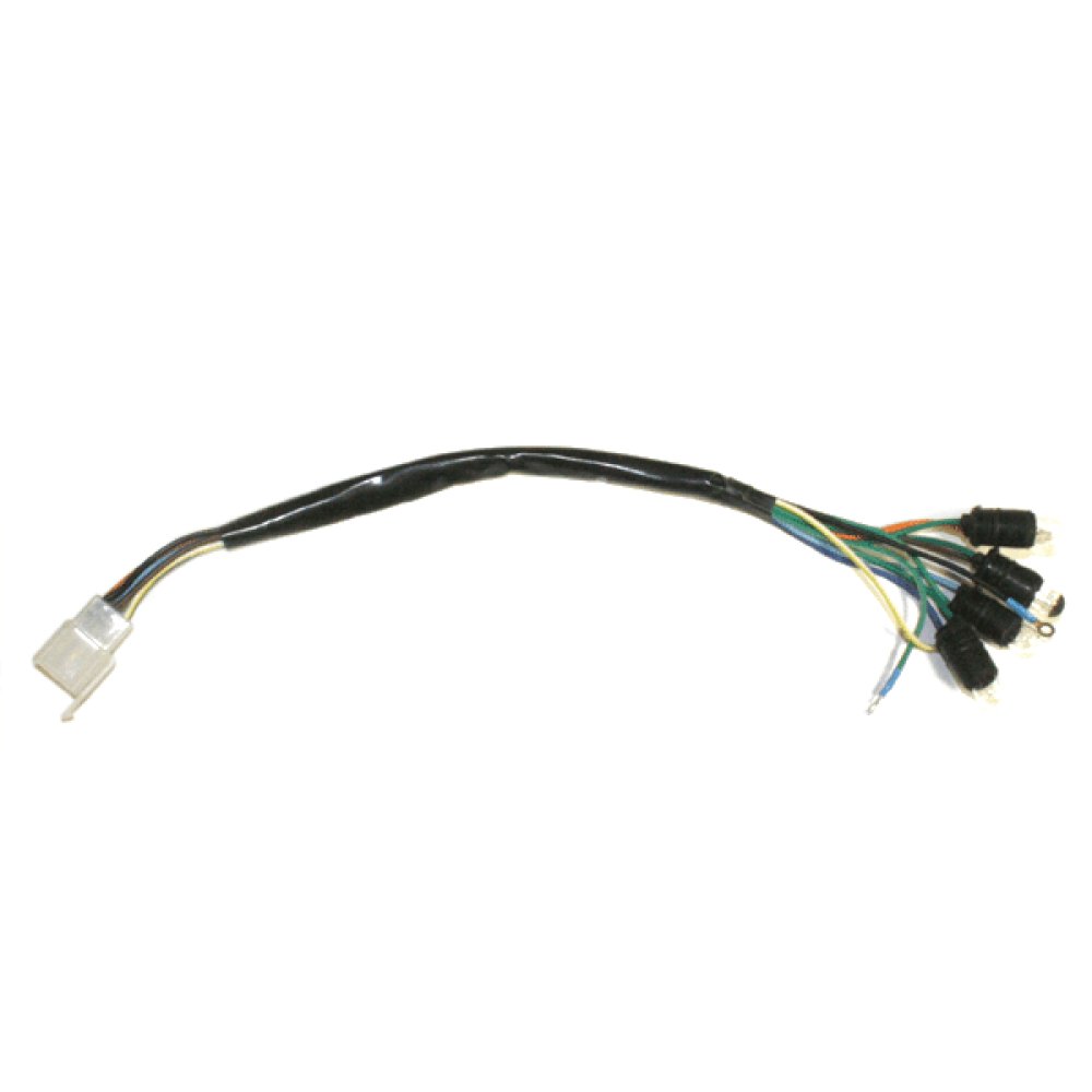 Speedo Wiring Loom