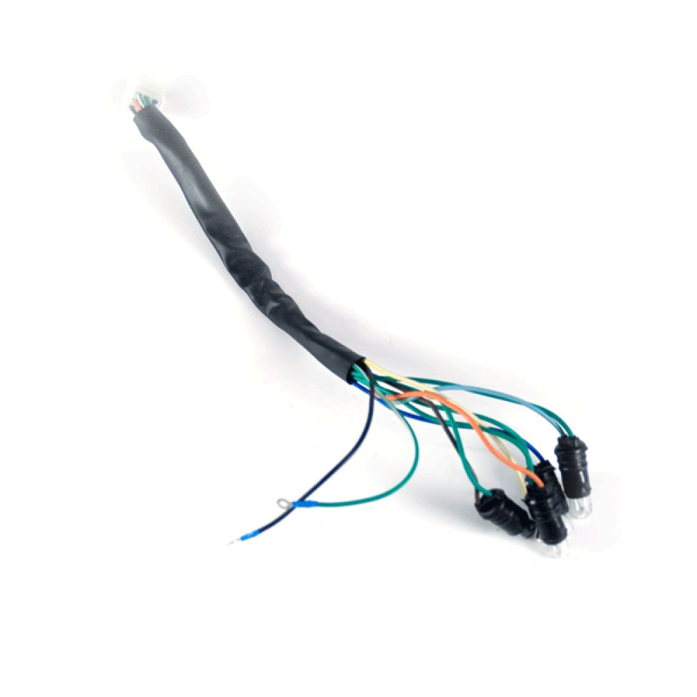 Speedo Wiring Loom