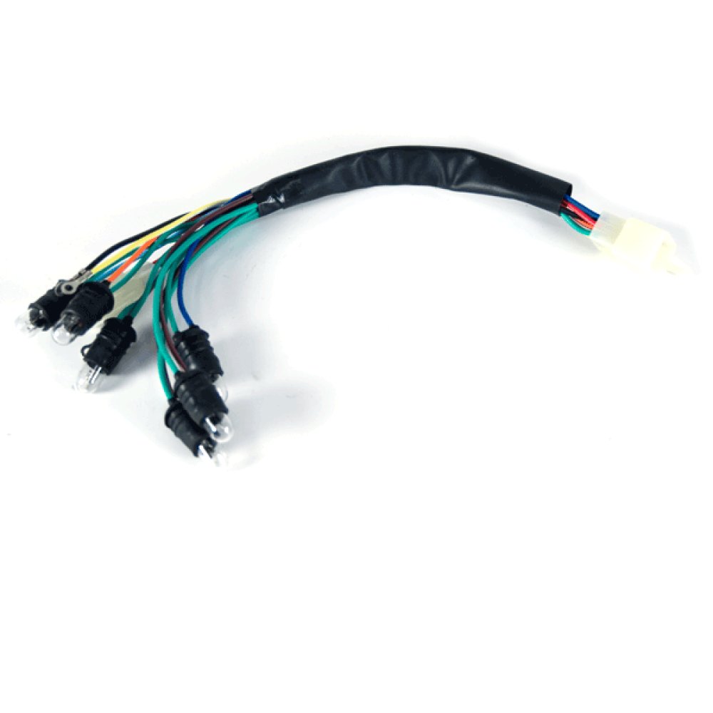 Speedo Wiring Loom
