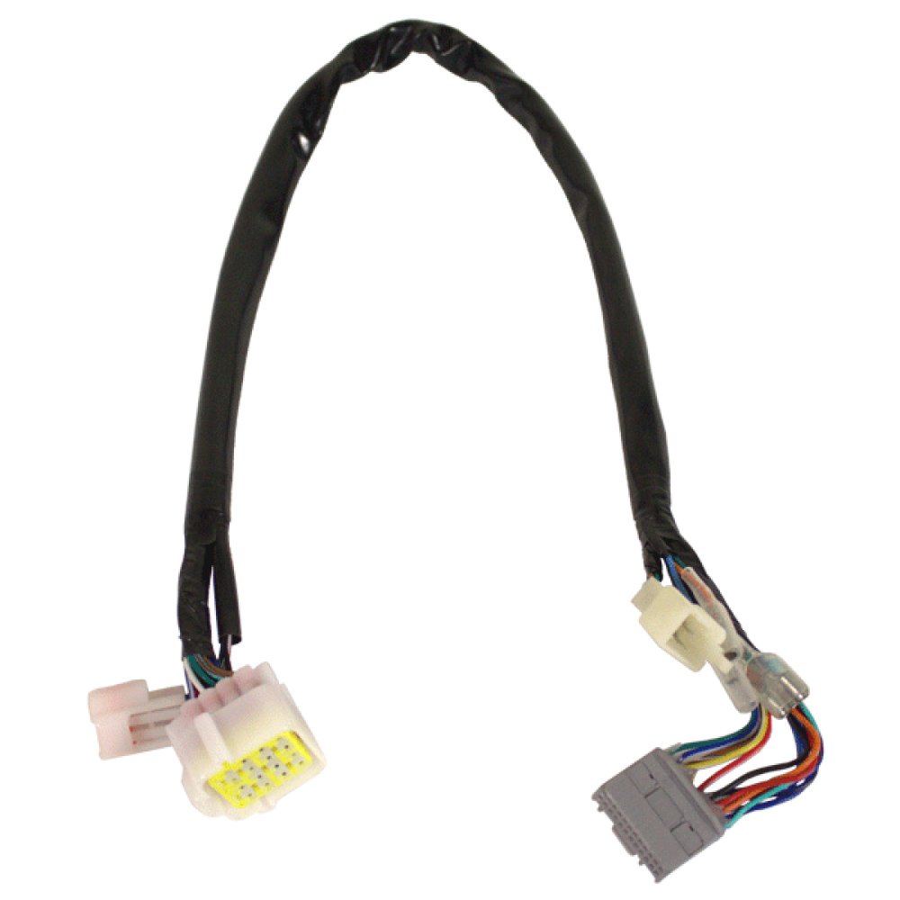 Speedo Wiring Loom