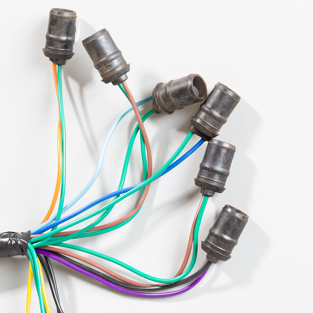 Speedo Wiring Loom 2