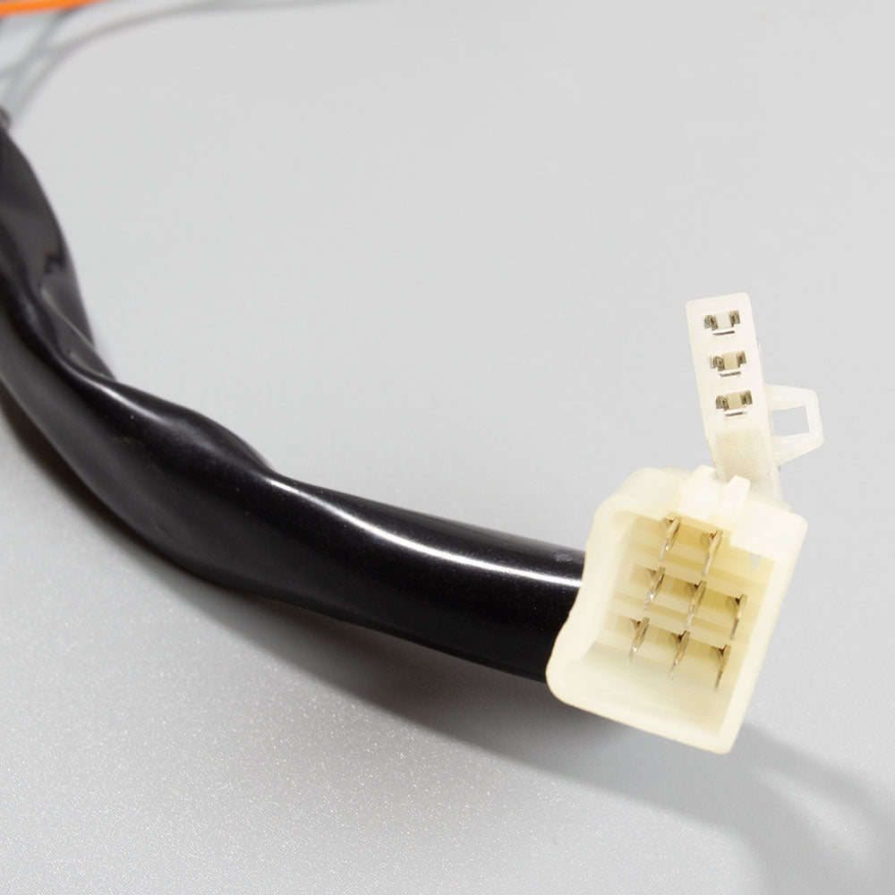 Speedo Wiring Loom 3