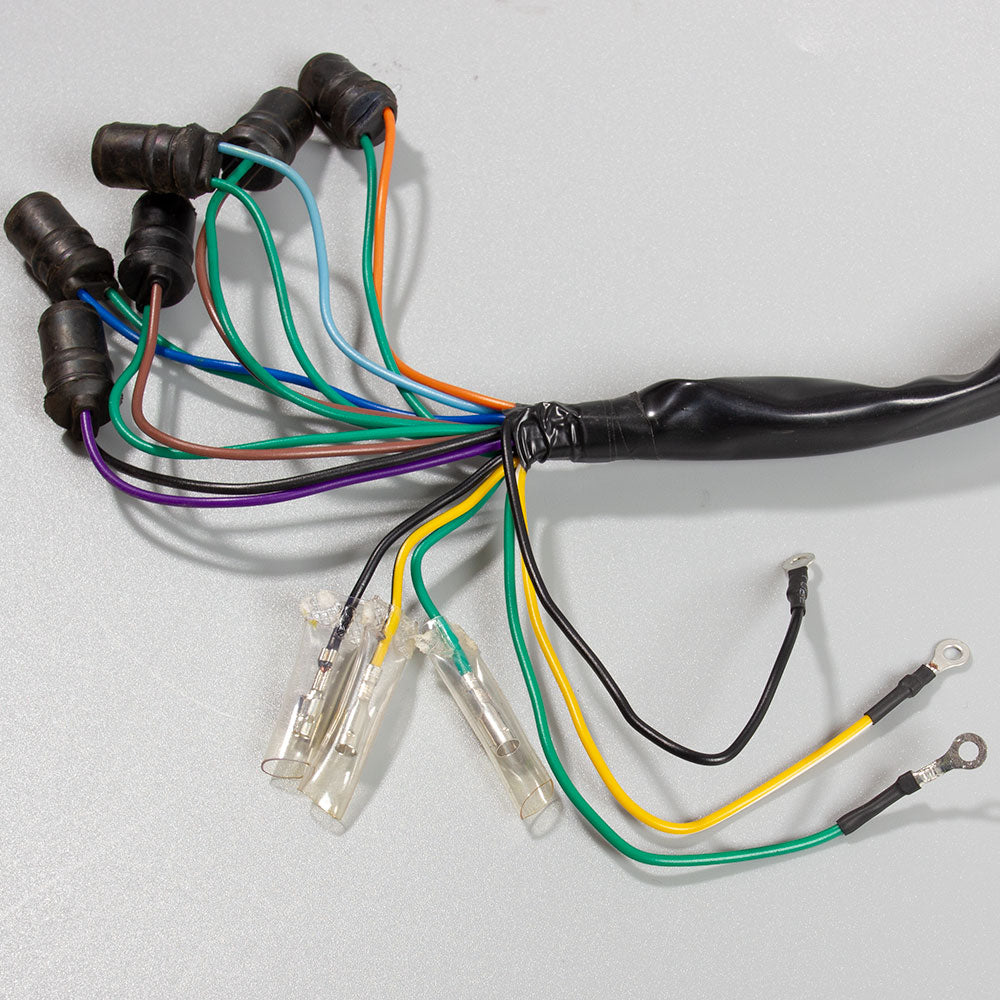 Speedo Wiring Loom 4