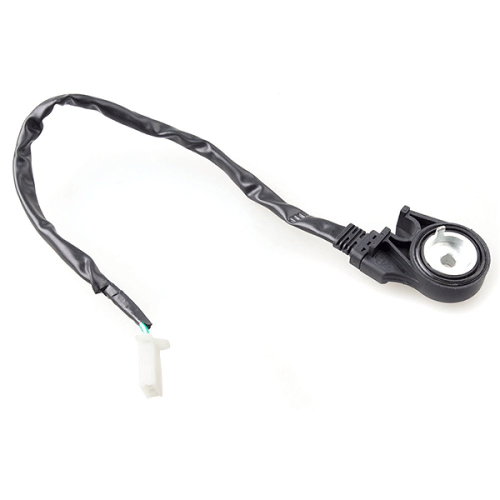 Side Stand Switch