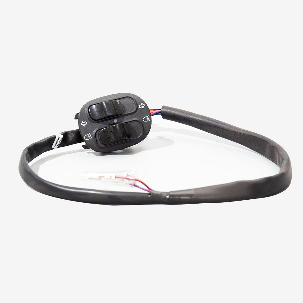 Handlebar Switch