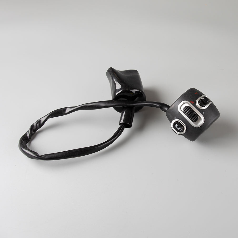 Handlebar Switch 2