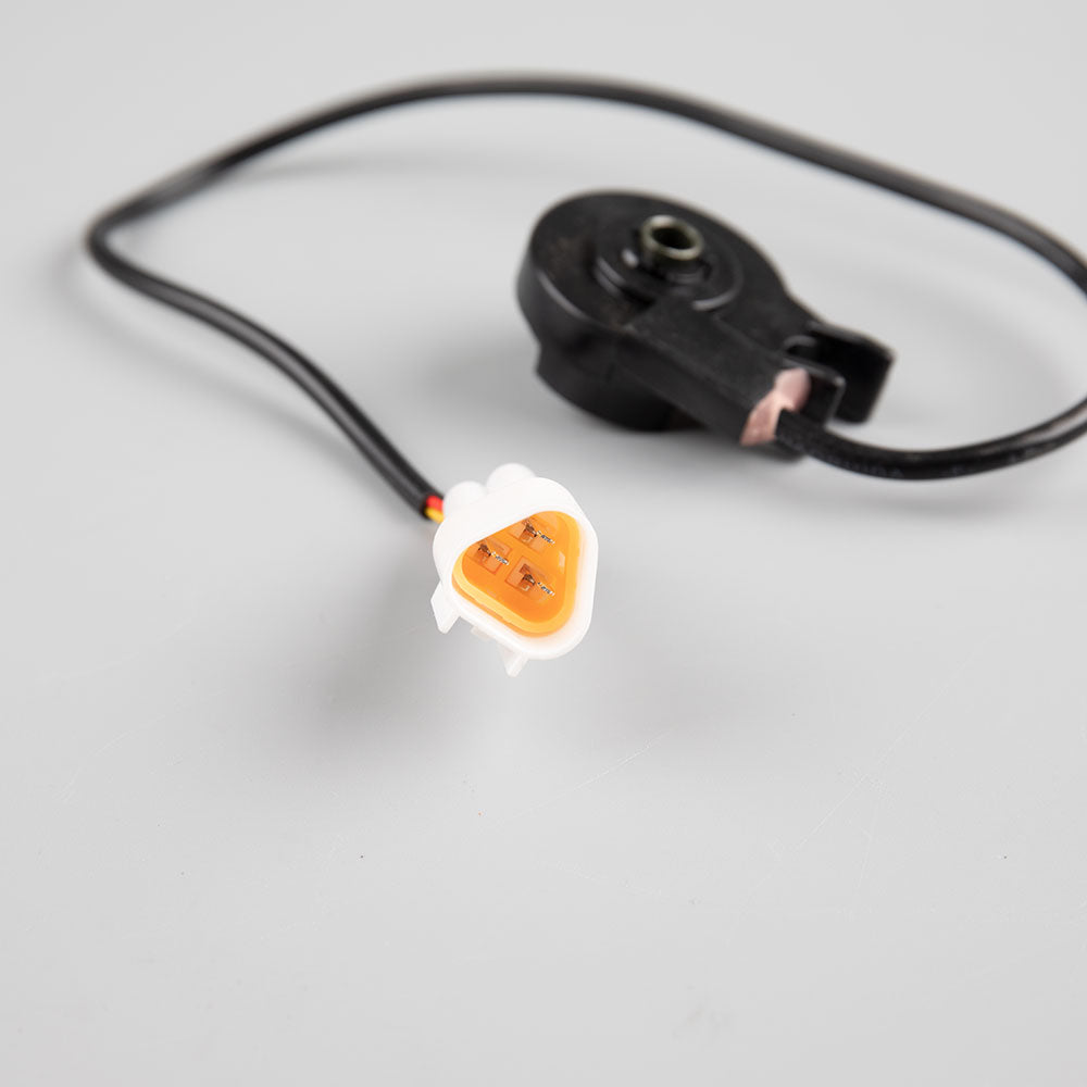Side Stand Switch 2