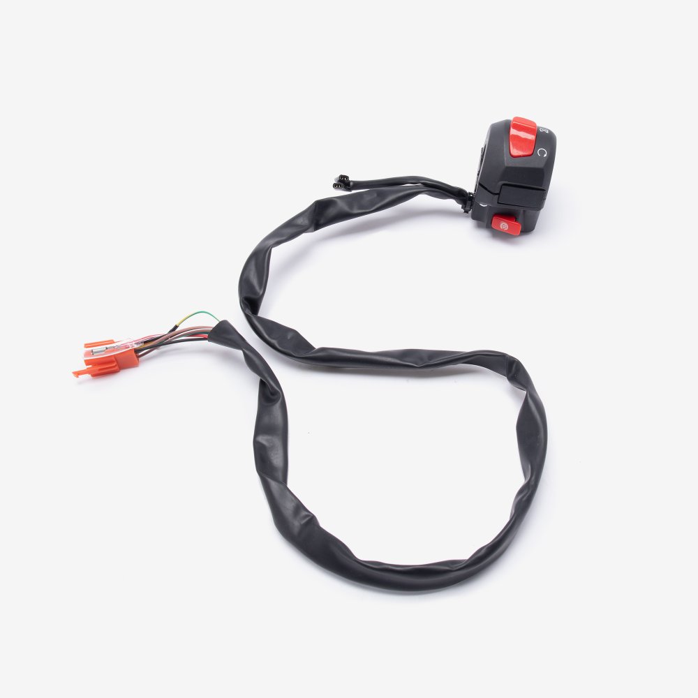 Handlebar Switch