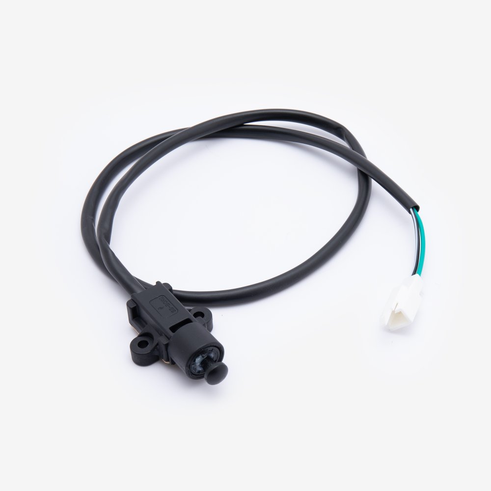 Side Stand Switch