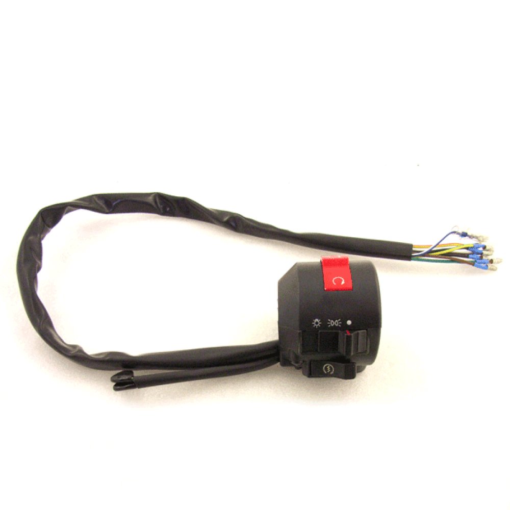 Handlebar Switch