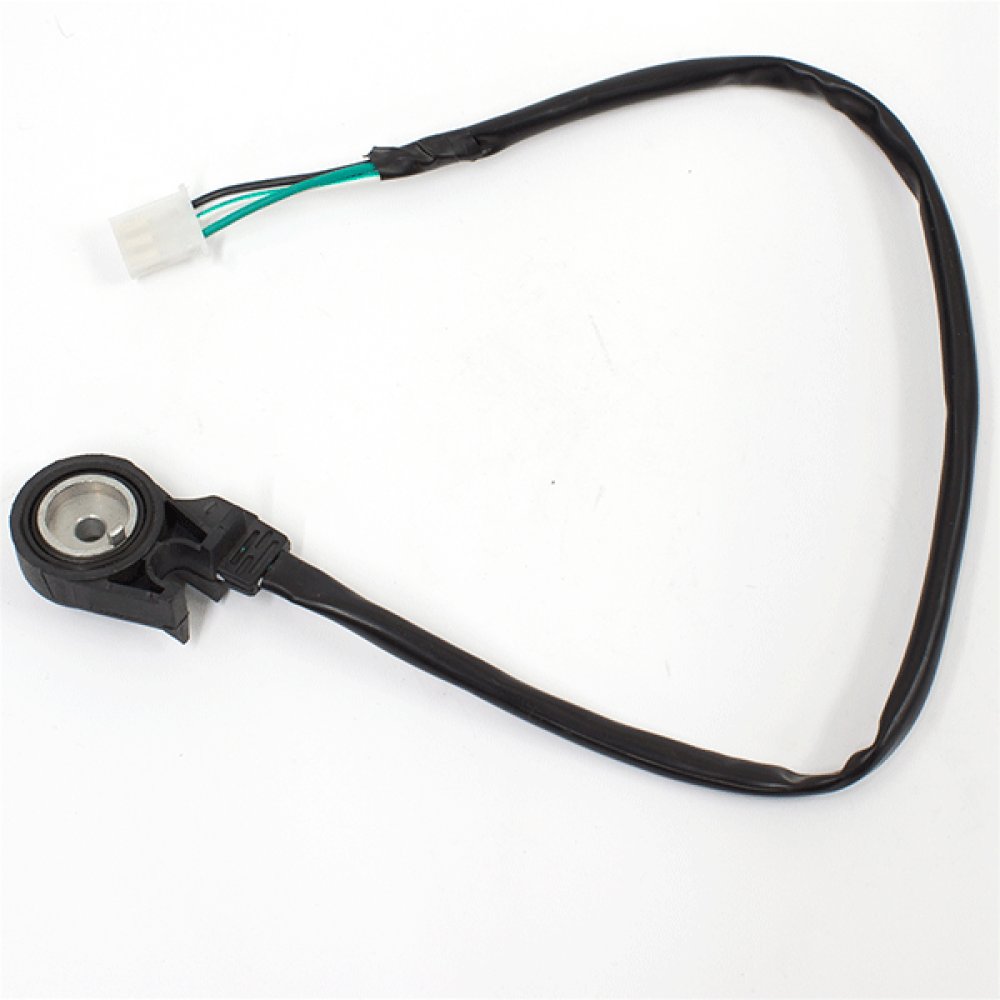 Side Stand Switch 2