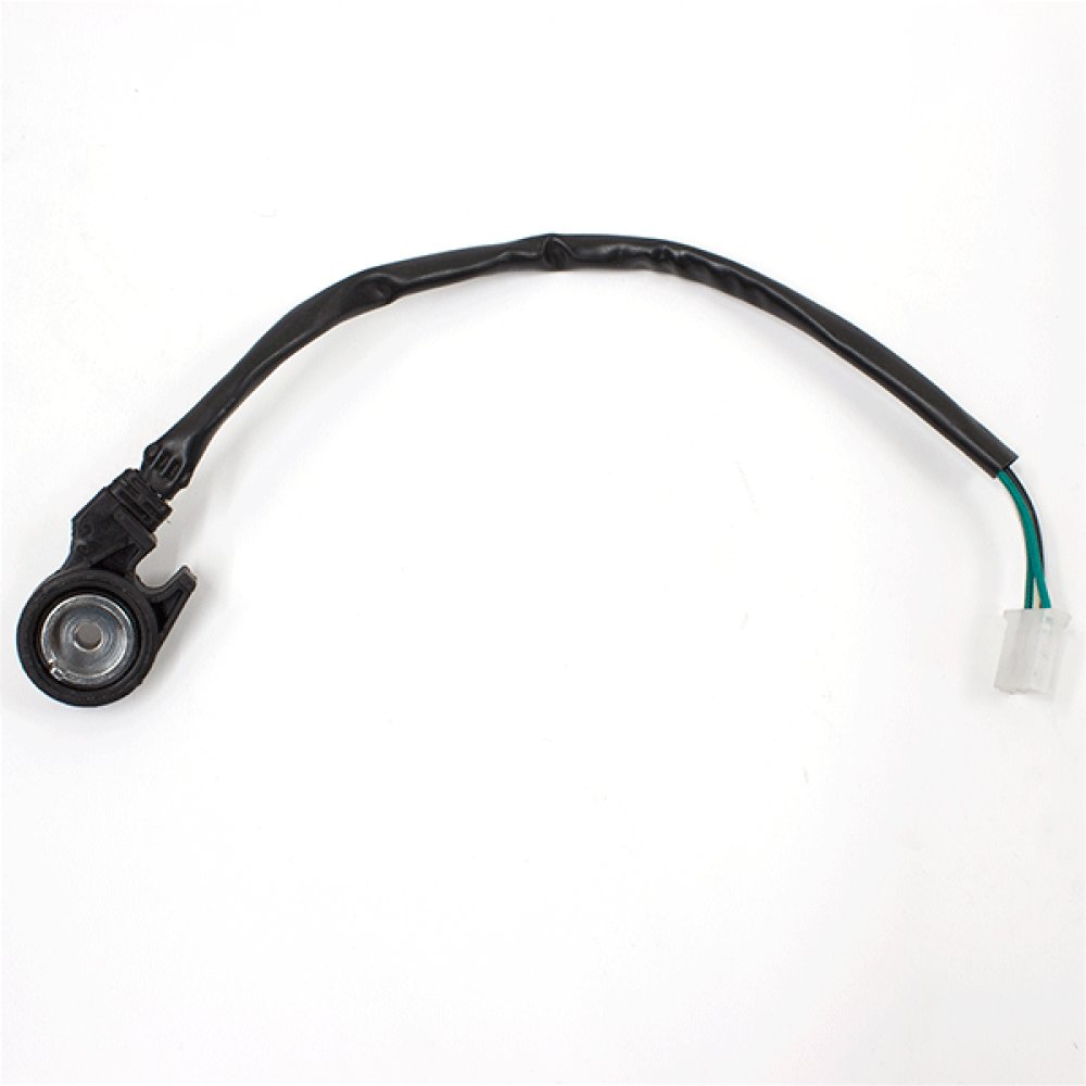 Side Stand Switch 2