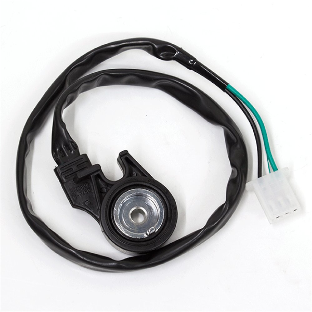 Side Stand Switch 2