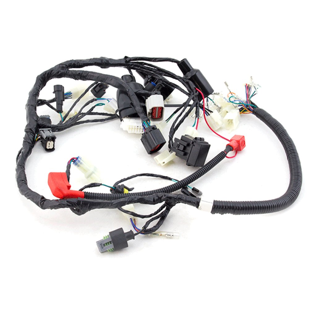 Wiring Loom