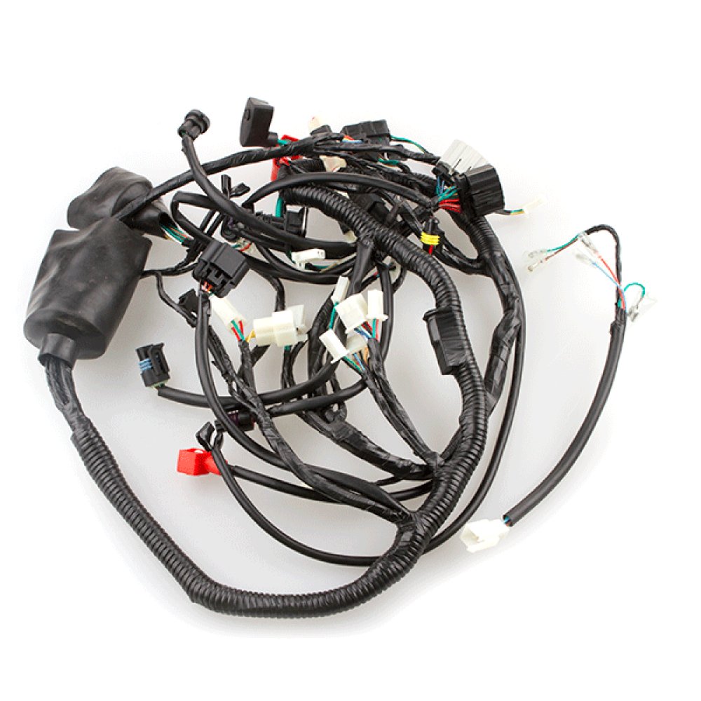 Wiring Loom