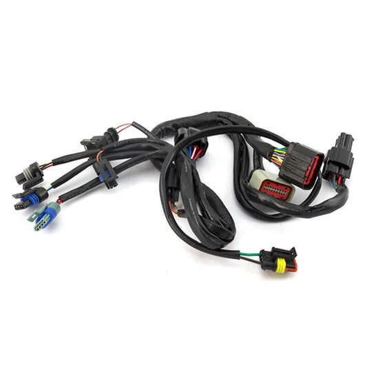 EFI System Wiring Loom
