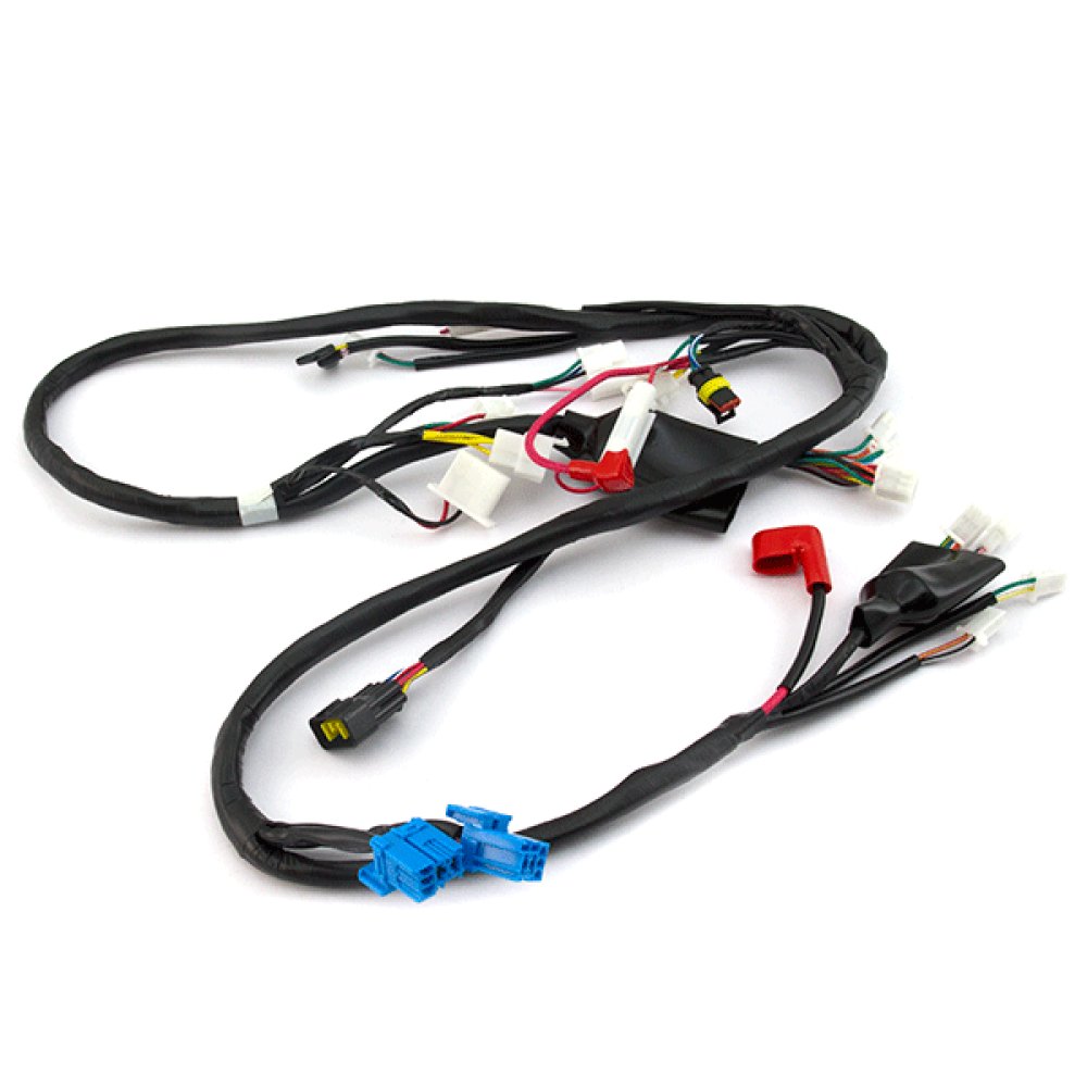 Wiring Loom - Main Harness