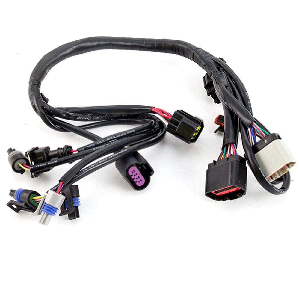Wiring Loom - EFI System