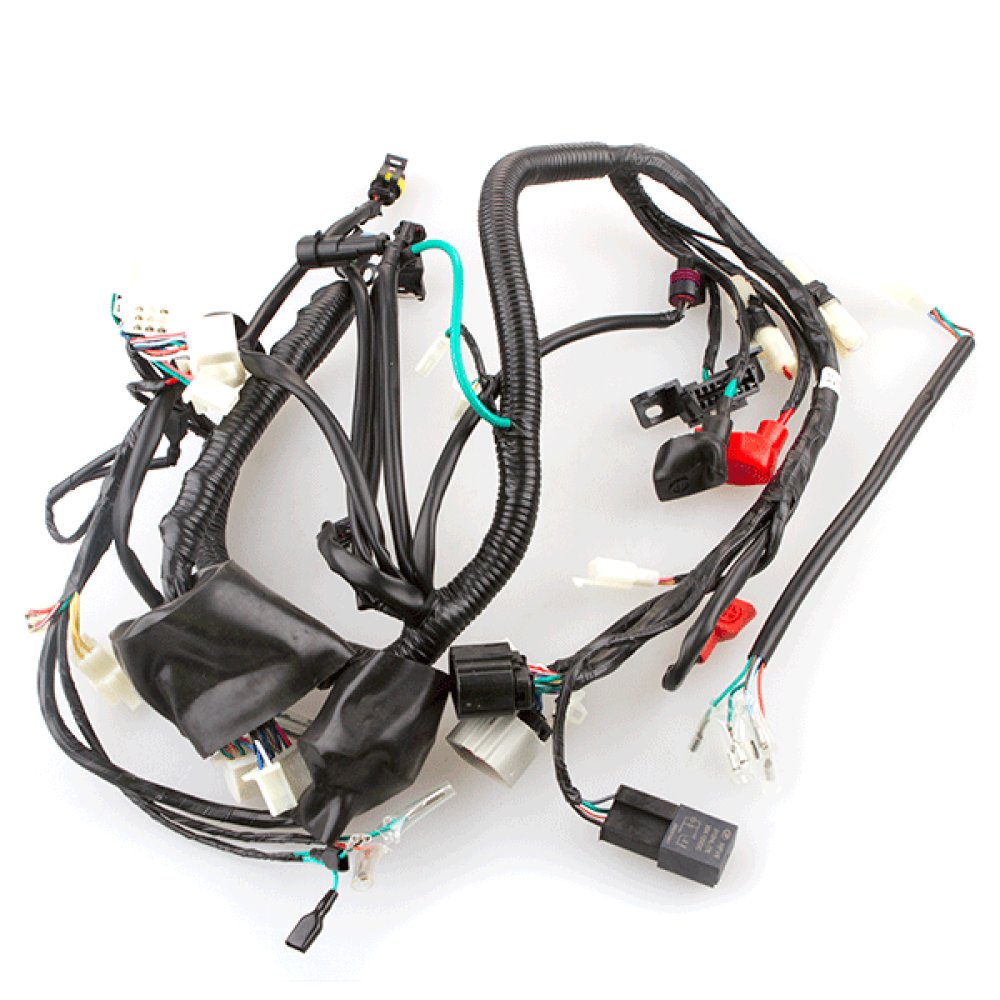 Wiring Loom