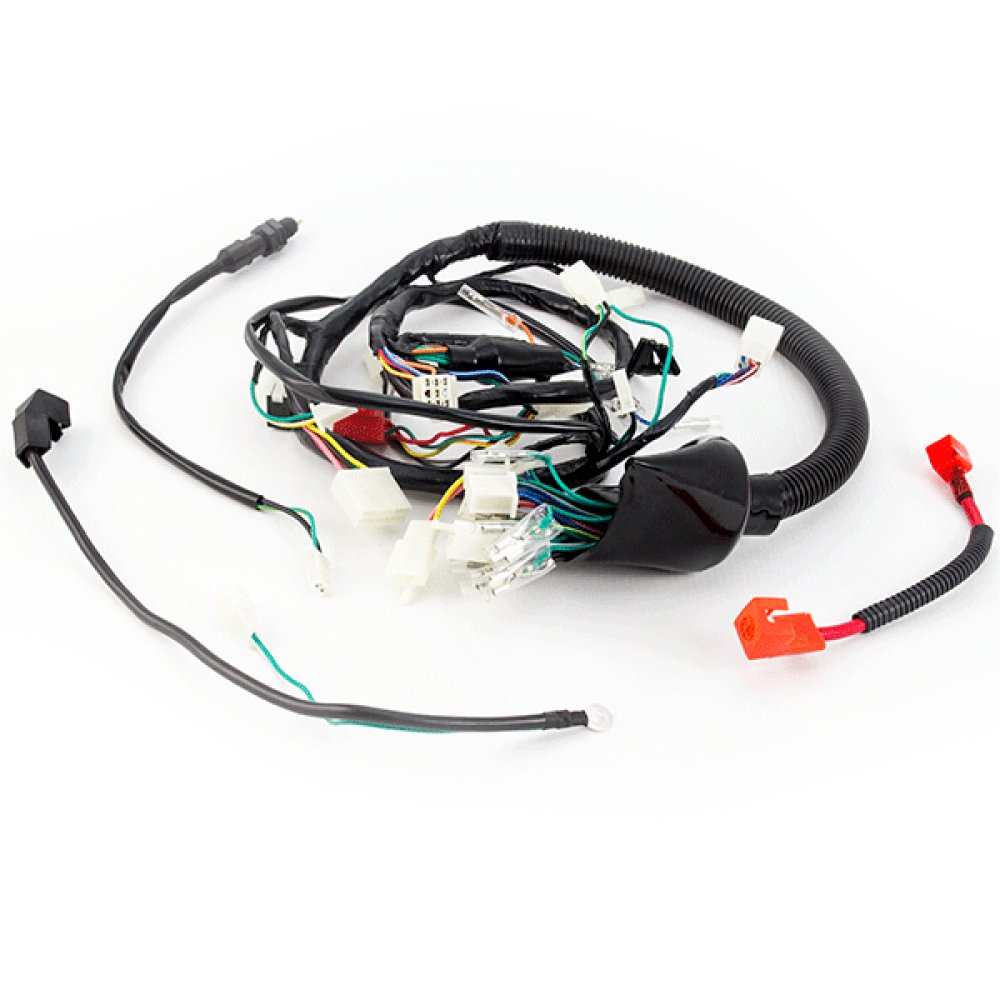 Wiring Loom